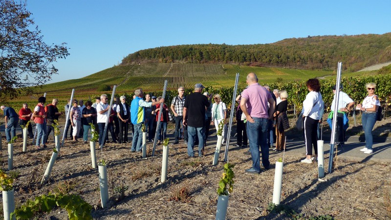 Weinfahrt Bullenheim