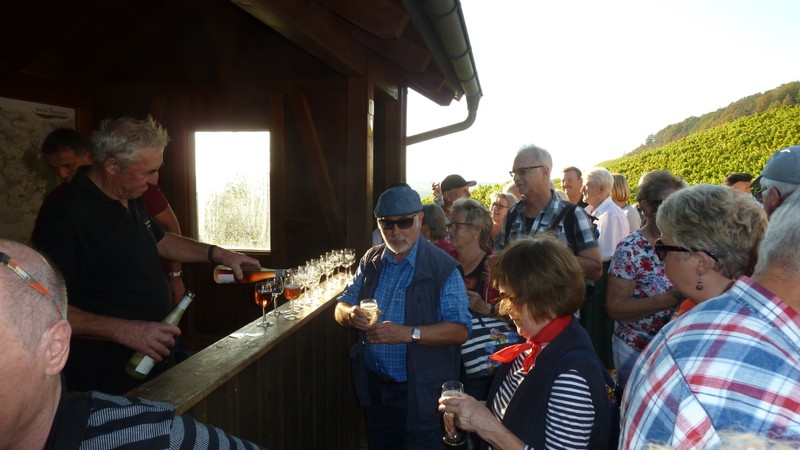 Weinfahrt Bullenheim