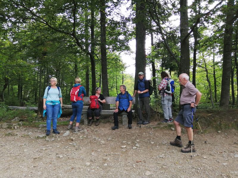 Wandern im Bayrischen Wald