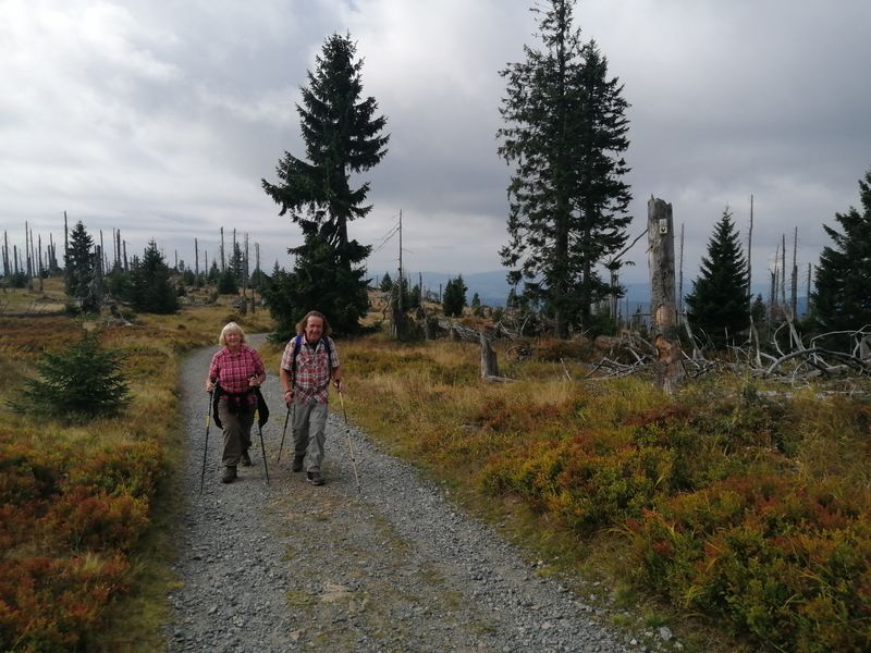 Wandern im Bayrischen Wald