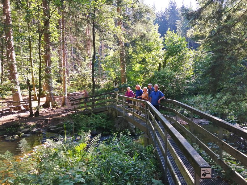 Wandern im Bayrischen Wald