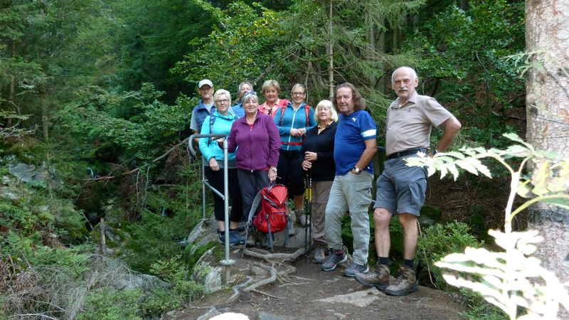 Wandern im Bayrischen Wald