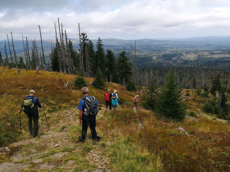 Wandern im Bayrischen Wald